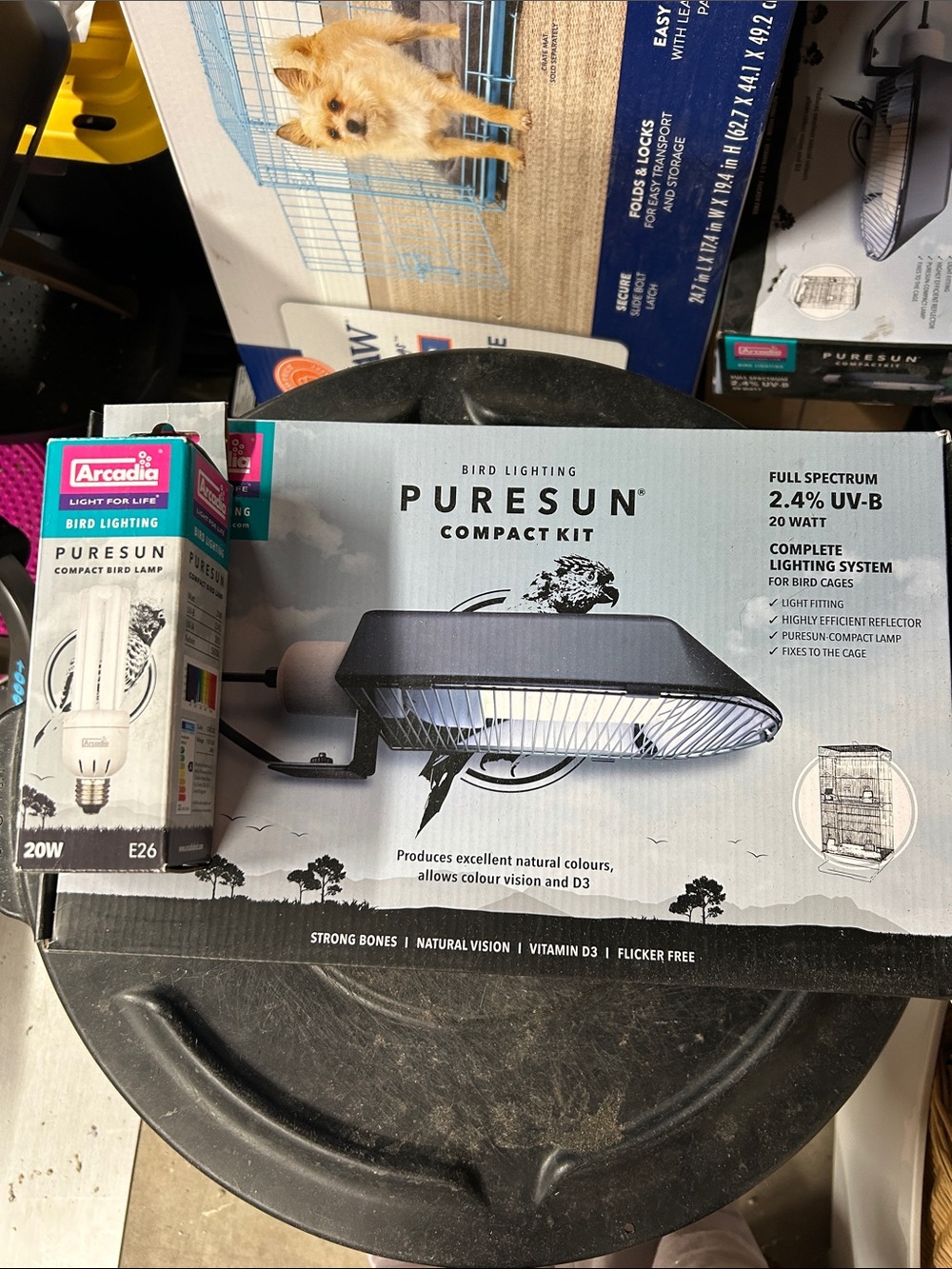 Compact Bird Lighting System - White